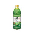 Pokka Getränk Japanischer Grüner Tee 500 ml Hot on Sale