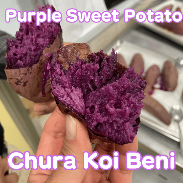 Chura Koi Beni  Purple Sweet Potato from Okinawa approx.500g [Delivery between 8th~9th, 15th~16th Nov] For Cheap