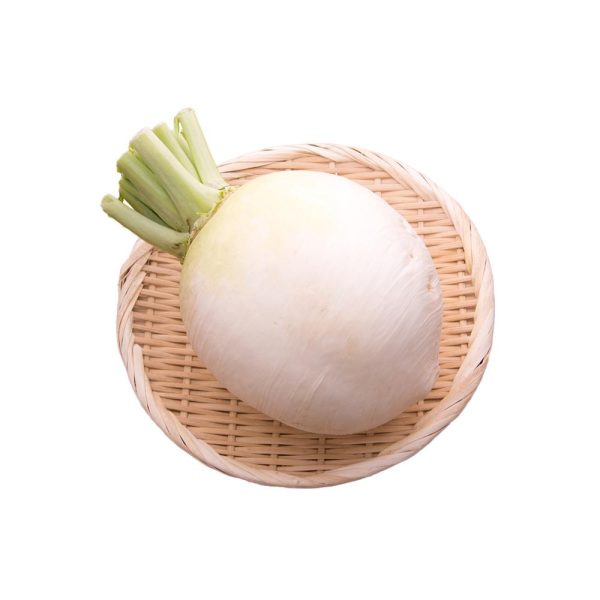 Kyoto Shogoin Daikon (Radish) Online Hot Sale