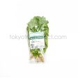 Organic Cilantro Online now