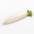 Japanese White Radish Daikon Hot on Sale