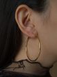 Essential Thin Hoops - Large *18K Gold-plated S925 Discount