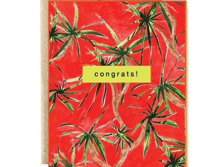 Fireworks plant congrats card For Discount