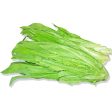 【99熱銷】台灣鴨仔菜 - AA菜 - TAIWAN LETTUCE A CHOY 1.9-2.1LB Online