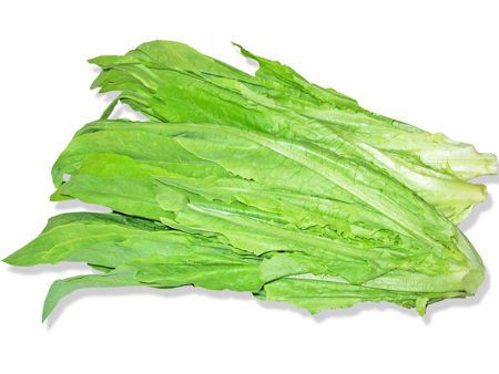 【99熱銷】台灣鴨仔菜 - AA菜 - TAIWAN LETTUCE A CHOY 1.9-2.1LB Online