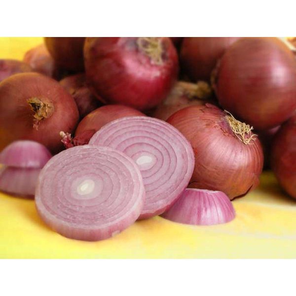 紅洋蔥 - 红洋葱 - RED ONION 1.9-2.1lb For Discount