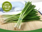 【雙數起售】青蔥 - 青葱 - GREEN ONION(EA) Online now