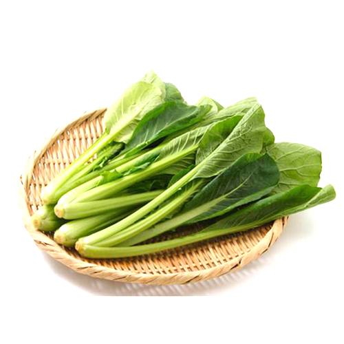 Japanese Mustard Spinach (Komatsuna) Online Hot Sale