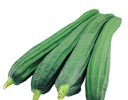 【限時秒殺】勝瓜(截段包裝) - 丝瓜(截段包裝) - CHINESE OKRA 1.8-2.2LB Discount