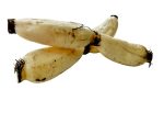 【99熱銷】蓮藕 - 莲藕 - LOTUS ROOT 2.5-2.8 lb on Sale