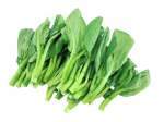 【限時秒殺】油菜苗 - 油菜苗 - YOU CHOY MUI 1.4-1.6 lb For Sale