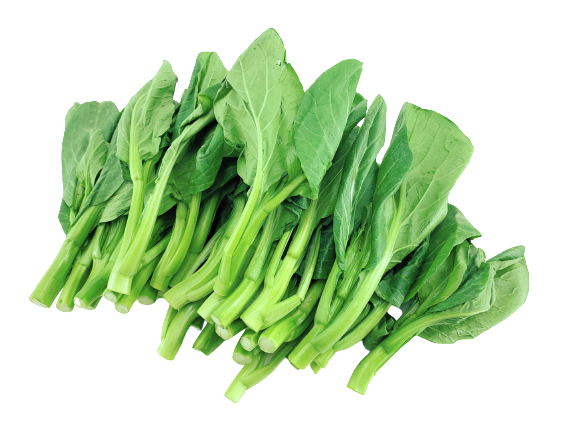 【限時秒殺】油菜苗 - 油菜苗 - YOU CHOY MUI 1.4-1.6 lb For Sale