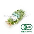 Organic Cilantro Online now