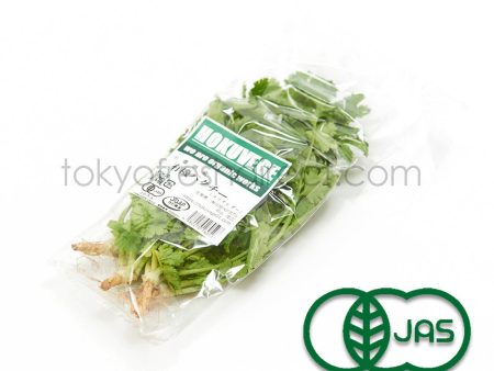 Organic Cilantro Online now