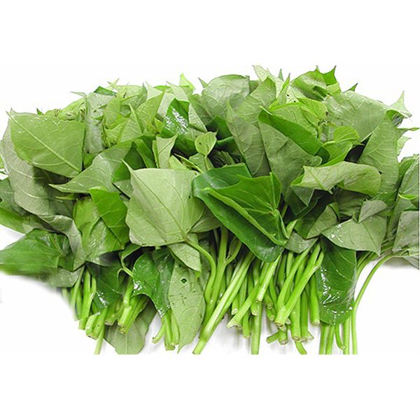 地瓜葉 - 番薯苗 - YAM LEAF 1-1.2LB For Cheap