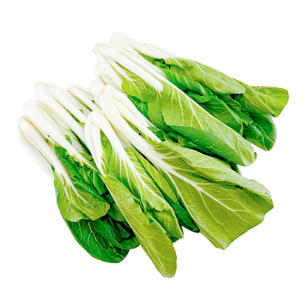 長白菜芯 - 长白菜芯 - LONG BOK CHOY SUM 1.4-1.6lb For Sale