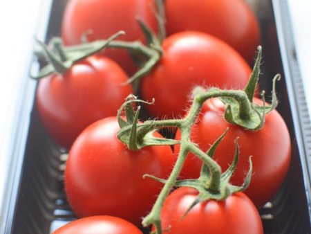 Midi-tomato (with tuft) Online now