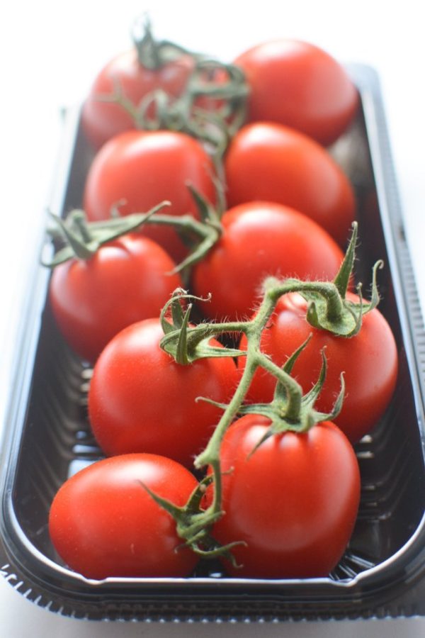 Midi-tomato (with tuft) Online now