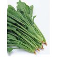 【限時秒殺】台灣菠菜 - 有根菠菜 - TAIWAN SPINACH 1.1-1.3lb Online Sale