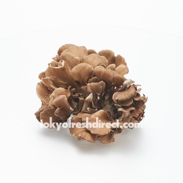 Black Maitake Hot on Sale