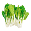 長白菜芯 - 长白菜芯 - LONG BOK CHOY SUM 1.4-1.6lb For Sale