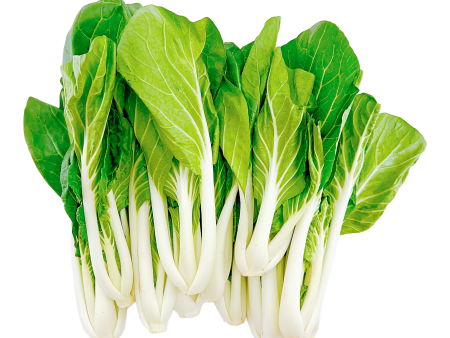 長白菜芯 - 长白菜芯 - LONG BOK CHOY SUM 1.4-1.6lb For Sale