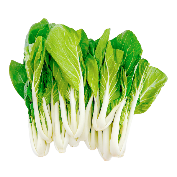 長白菜芯 - 长白菜芯 - LONG BOK CHOY SUM 1.4-1.6lb For Sale