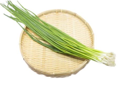 Konegi Green Onion Online now