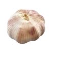 新鮮袋裝蒜頭 - 新鲜袋装蒜头 - GARLIC 5PCs Pack Online now