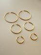 Essential Thin Hoops - Medium *18K Gold-plated S925 Supply