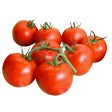 溫室蕃茄 - 串番茄 - TOMATO ON THE VINE 1.8-2LB Online