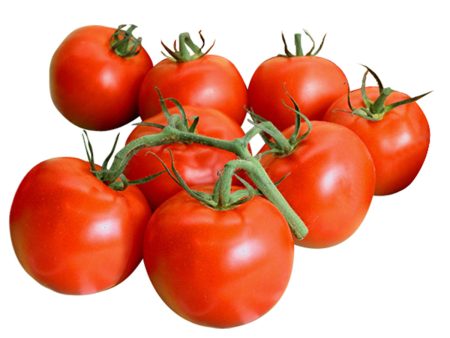 溫室蕃茄 - 串番茄 - TOMATO ON THE VINE 1.8-2LB Online