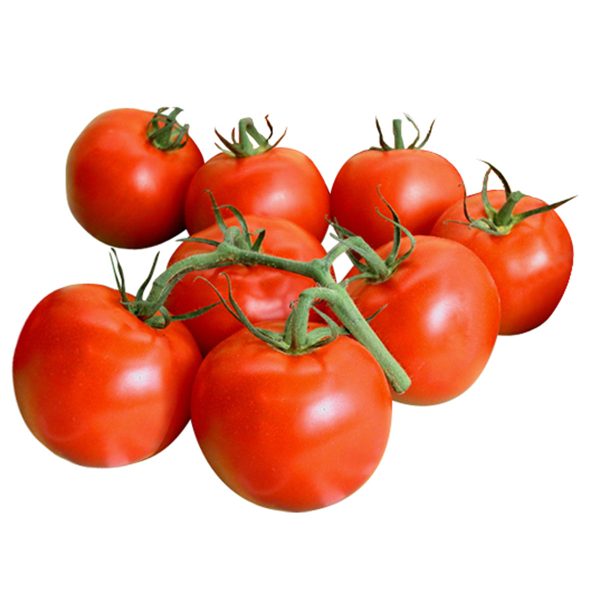 溫室蕃茄 - 串番茄 - TOMATO ON THE VINE 1.8-2LB Online