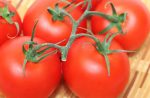 Midi-tomato (with tuft) Online now