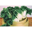 矮腳白菜苗 - 奶油苗 - SMALL BOK CHOY MUI 1.4-1.6LB Cheap