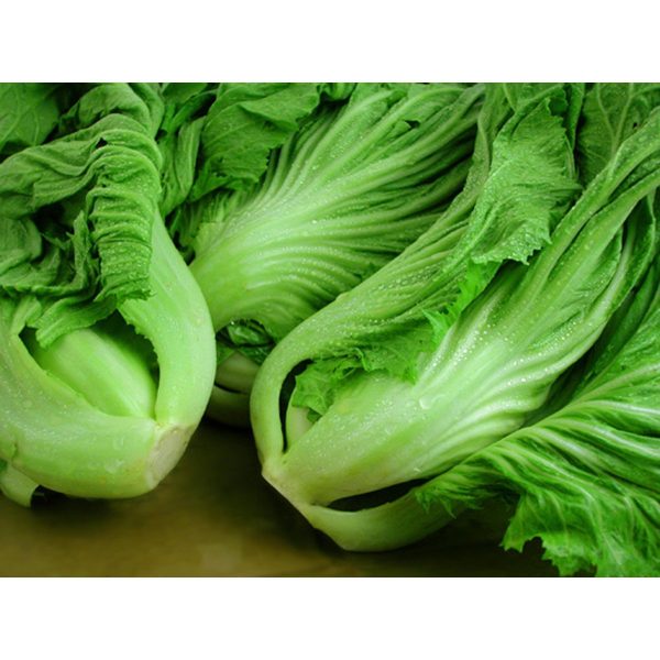 【限時秒殺】大芥菜 - 大芥菜 - LARGE GAI-CHOY 1.4-1.6lb For Discount