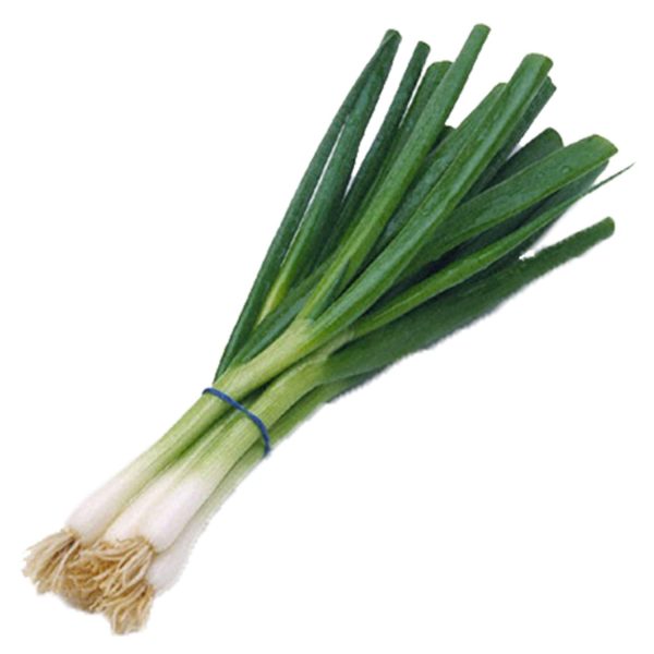 【雙數起售】青蔥 - 青葱 - GREEN ONION(EA) Online now