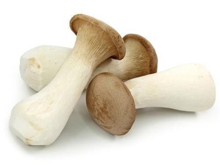 杏鮑菇 - 王子菇 - KING OYSTER MUSHROOM 0.9 - 1.1LB Online Sale