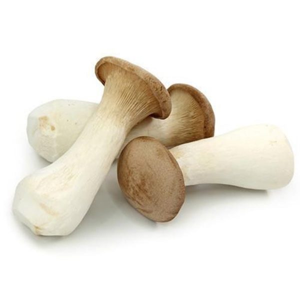 杏鮑菇 - 王子菇 - KING OYSTER MUSHROOM 0.9 - 1.1LB Online Sale