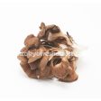 Black Maitake Hot on Sale