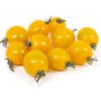 Cherry tomato (yellow) For Discount