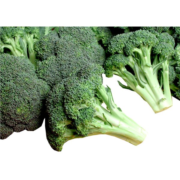 無莖洋芥蘭 - 西兰花 - BROCCOLI CROWN 1.9-2.1LB For Cheap