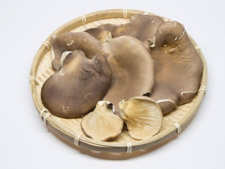 Black Awabi Mushroom on Sale