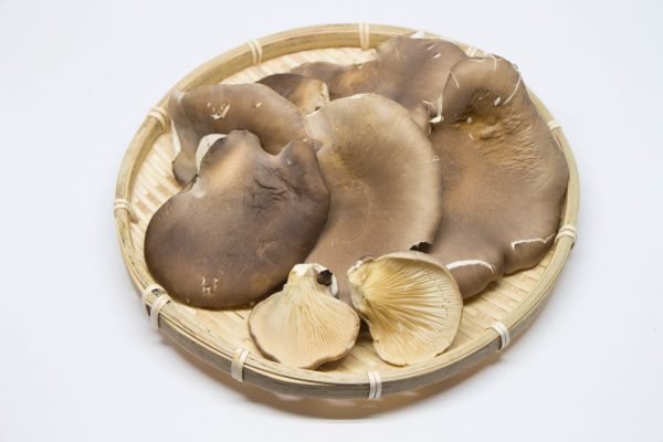 Black Awabi Mushroom on Sale