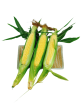 【本週特價】甜玉米 - 甜玉米 - CORN 3pc pack For Cheap