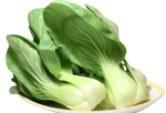 青江菜 - 上海菜 - BABY BOK CHOY 1.9-2.1 lb Supply