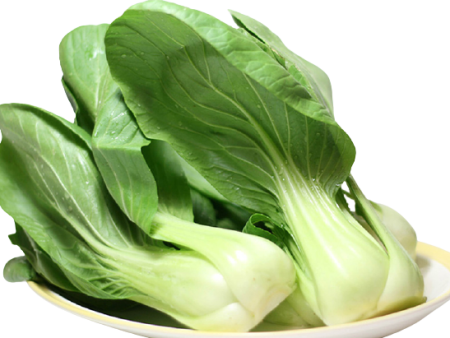 青江菜 - 上海菜 - BABY BOK CHOY 1.9-2.1 lb Supply