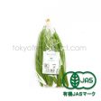 Organic Green Beans Online