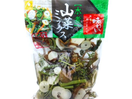 Nagayama Foods - Mélange de légumes de montagne 100g Discount