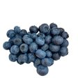 藍莓 - 蓝莓 - BLUEBERRIES 10 oz pack For Discount